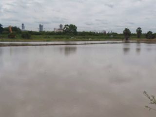 For sale land in Sam Khok, Pathum Thani