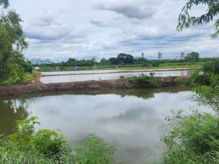 For sale land in Sam Khok, Pathum Thani