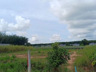 出售 土地 在 Nikhom Phatthana, Rayong