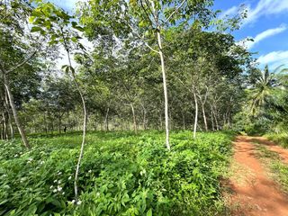 ขาย ที่ดิน ใน เมืองกระบี่, กระบี่
