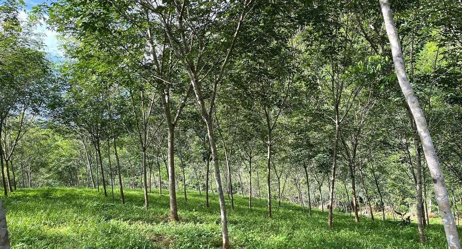 Terreno en venta en Mueang Krabi, Krabi