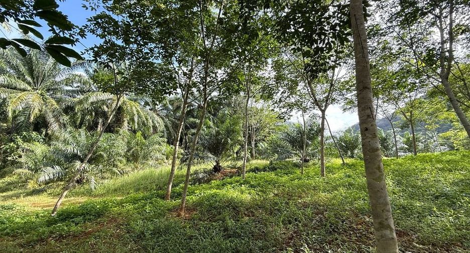 Terreno en venta en Mueang Krabi, Krabi