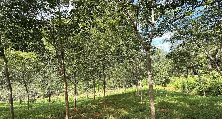 Terreno en venta en Mueang Krabi, Krabi