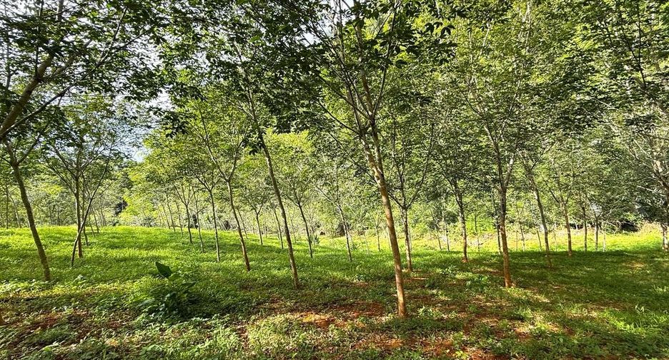Terreno en venta en Mueang Krabi, Krabi