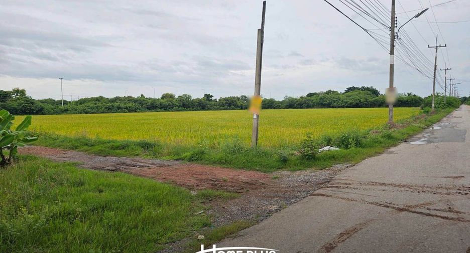 Terreno en venta en Phutthamonthon, Nakhon Pathom