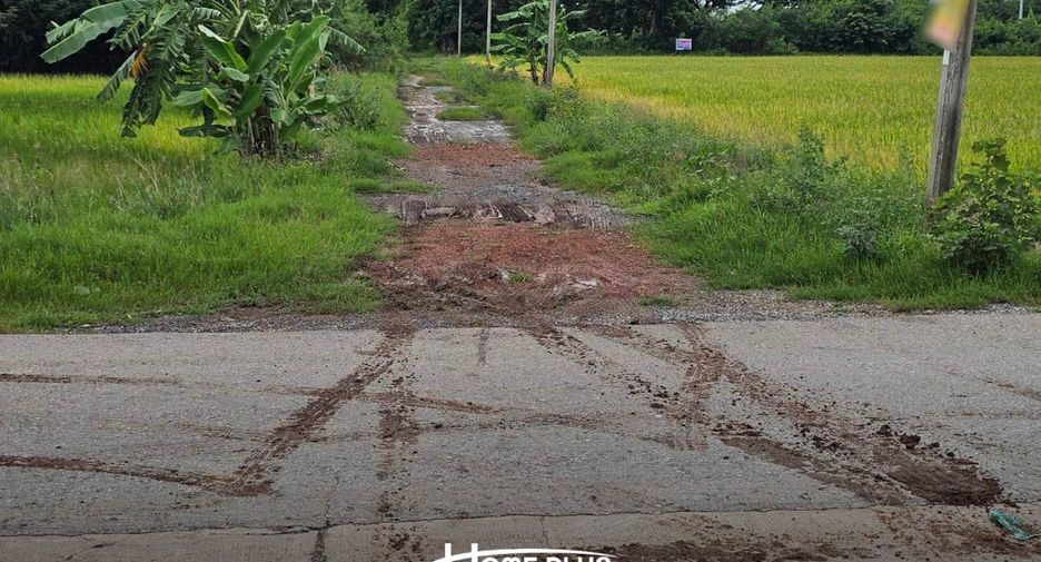 Terreno en venta en Phutthamonthon, Nakhon Pathom