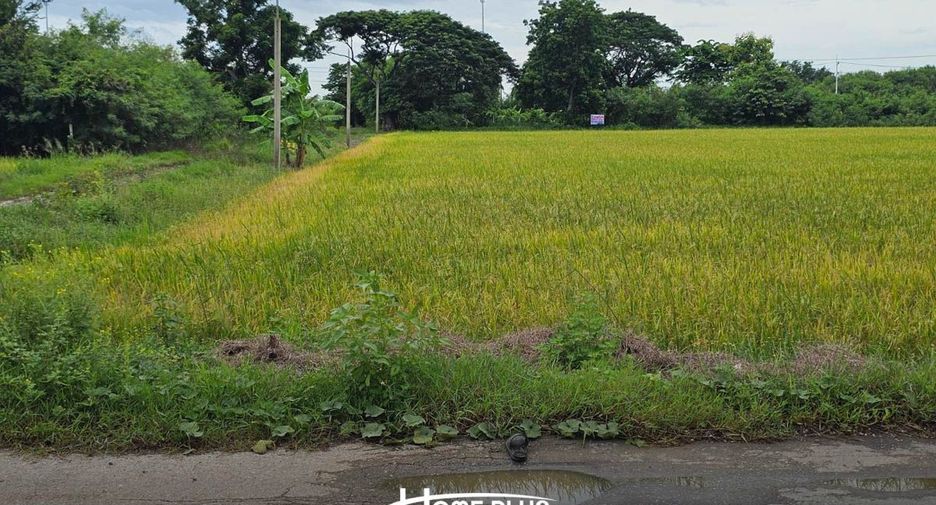 Terreno en venta en Phutthamonthon, Nakhon Pathom