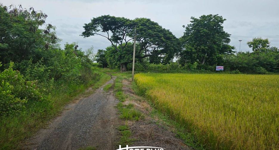 Terreno en venta en Phutthamonthon, Nakhon Pathom