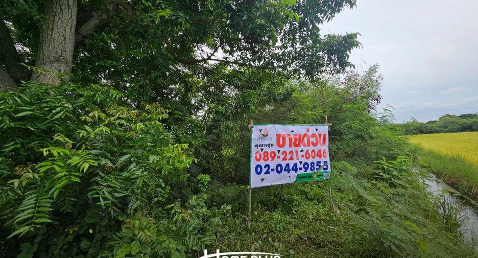 Terreno en venta en Phutthamonthon, Nakhon Pathom
