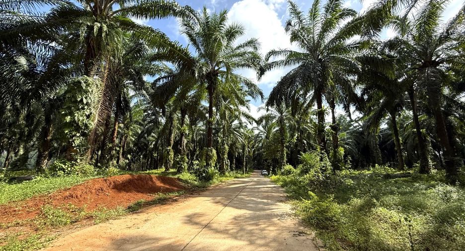À vendre terrain à Mueang Krabi, Krabi