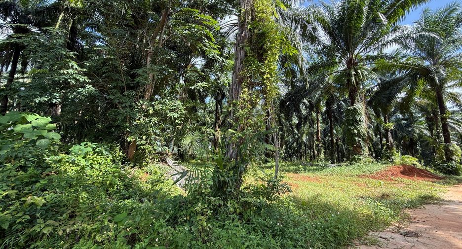 À vendre terrain à Mueang Krabi, Krabi