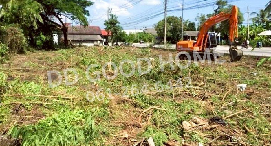 For sale land in Pak Phanang, Nakhon Si Thammarat