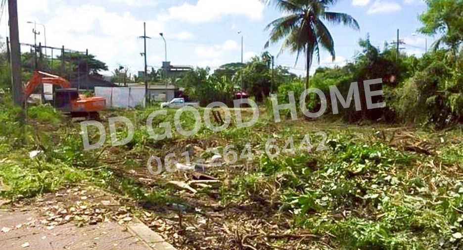 For sale land in Pak Phanang, Nakhon Si Thammarat