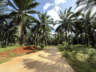 出售 土地 在 Mueang Krabi, Krabi