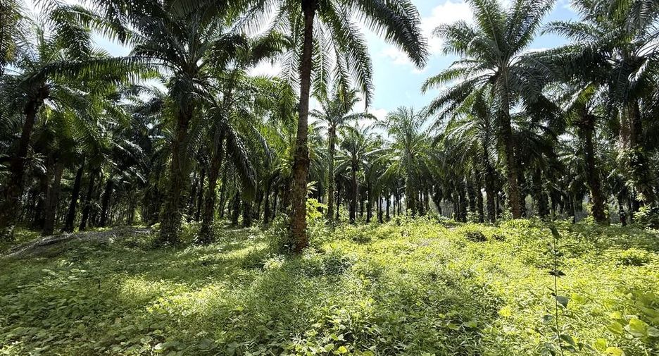 For sale land in Mueang Krabi, Krabi