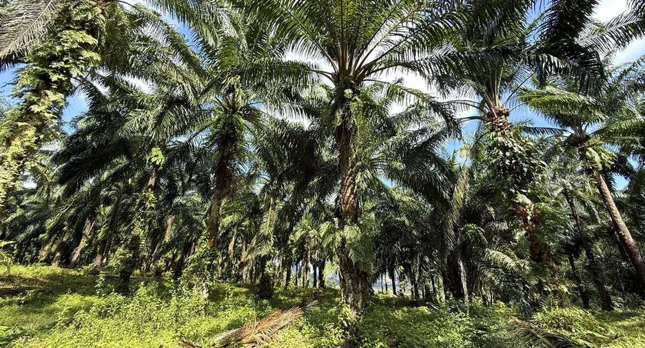 For sale land in Mueang Krabi, Krabi