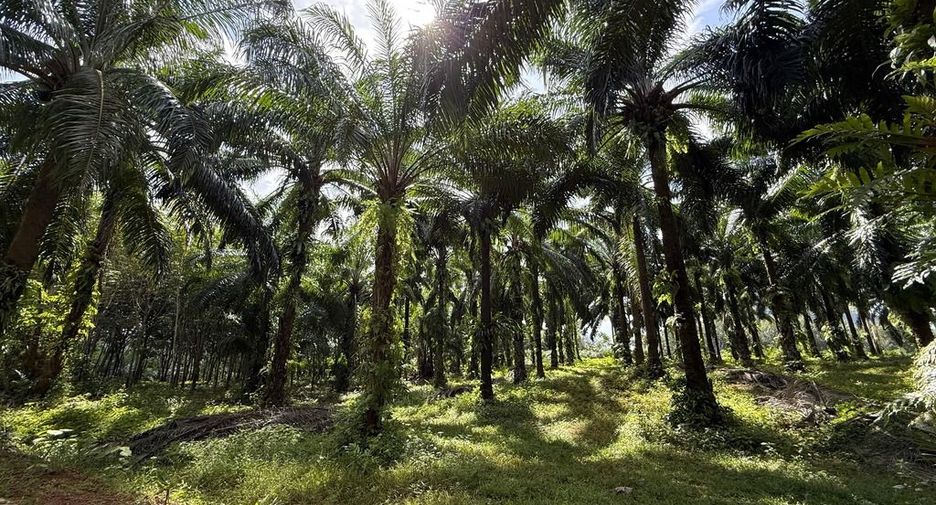 For sale land in Mueang Krabi, Krabi