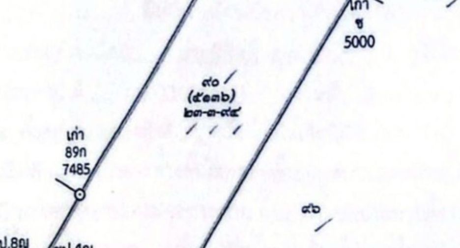 For sale land in Lom Sak, Phetchabun