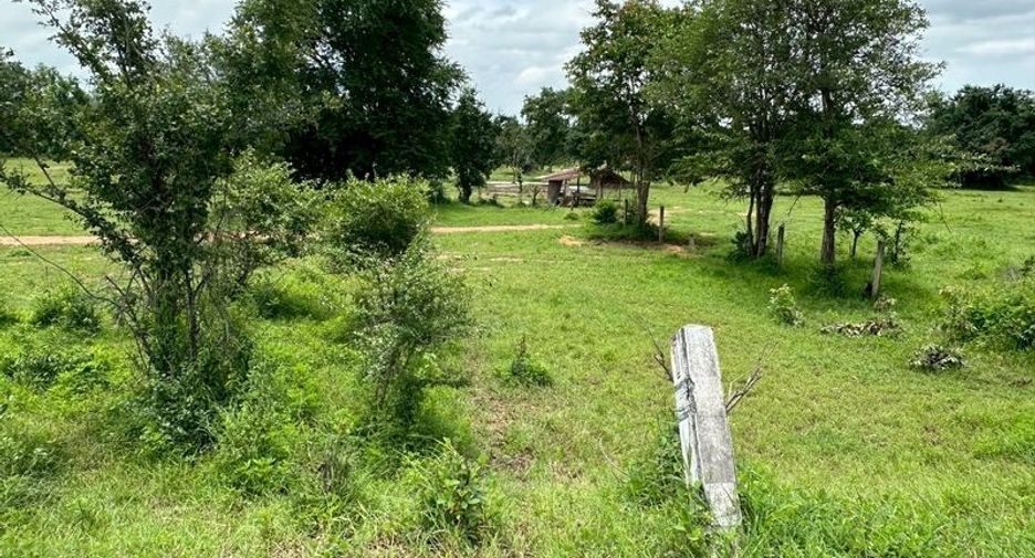 For sale land in Lom Sak, Phetchabun