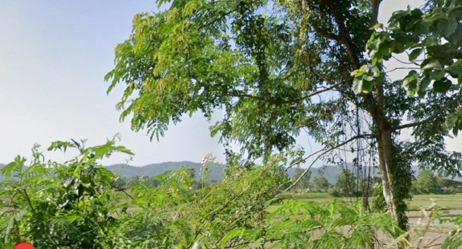 Grundstück zum Kauf in Wiang Chai, Chiang Rai