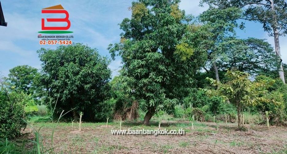 For sale land in Bang Ban, Phra Nakhon Si Ayutthaya
