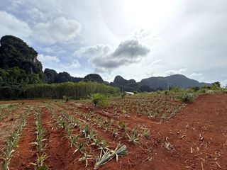 Продажа Участок в Муанг Краби, Краби