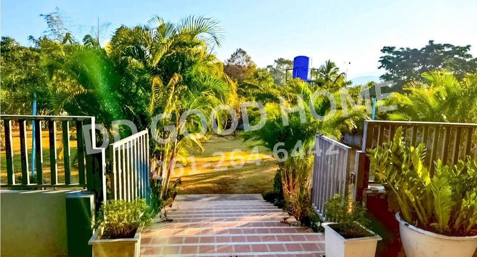 For sale land in Phu Ruea, Loei