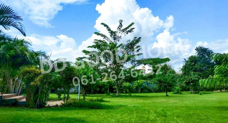 For sale land in Phu Ruea, Loei