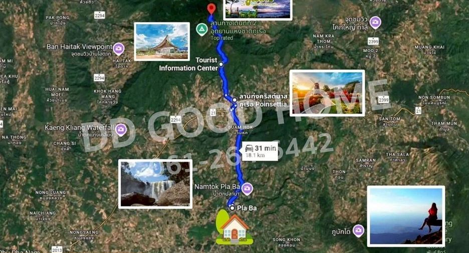 For sale land in Phu Ruea, Loei