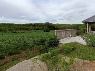 ขาย ที่ดิน ใน นิคมพัฒนา, ระยอง