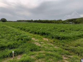 ขาย ที่ดิน ใน นิคมพัฒนา, ระยอง