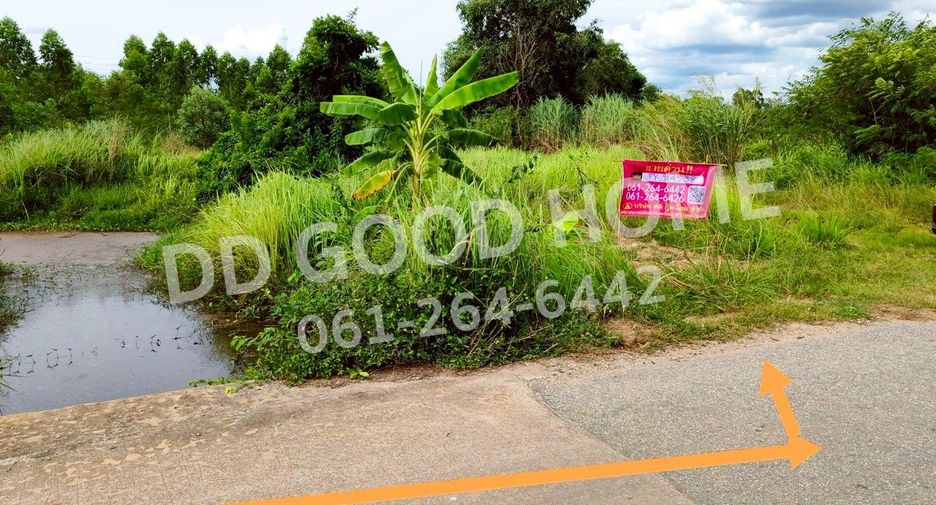 ขาย ที่ดิน ใน พนมสารคาม, ฉะเชิงเทรา