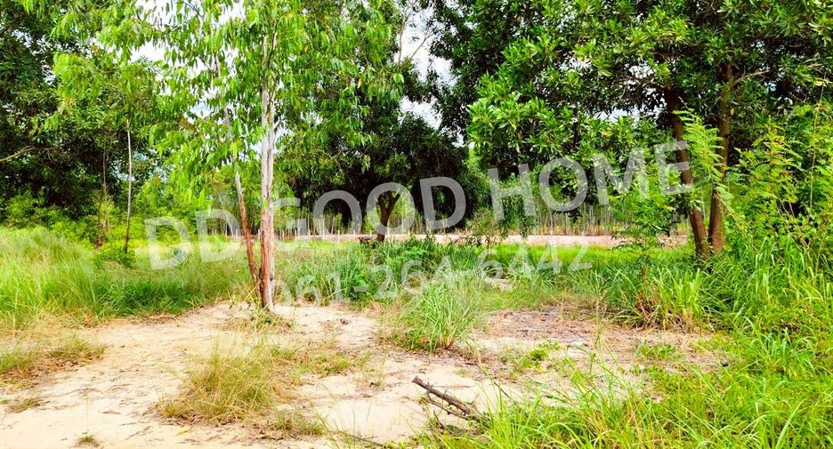 ขาย ที่ดิน ใน พนมสารคาม, ฉะเชิงเทรา