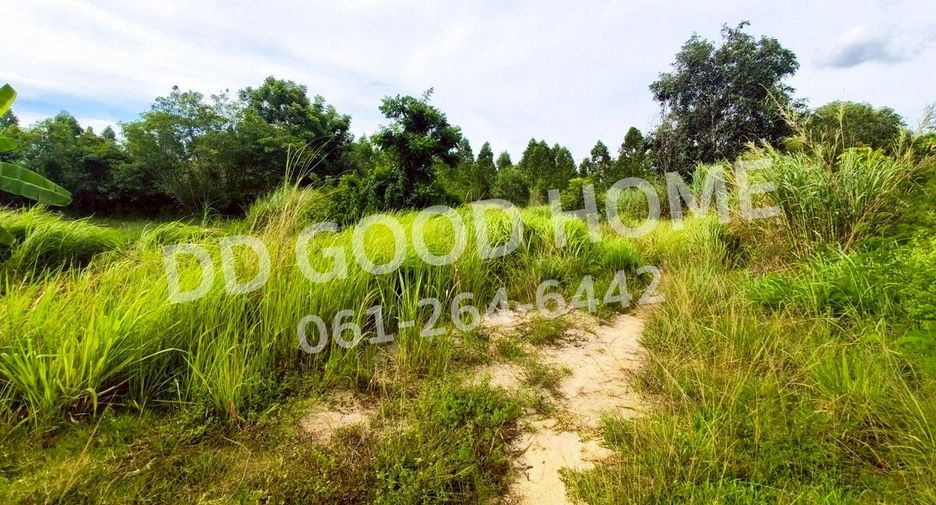 ขาย ที่ดิน ใน พนมสารคาม, ฉะเชิงเทรา