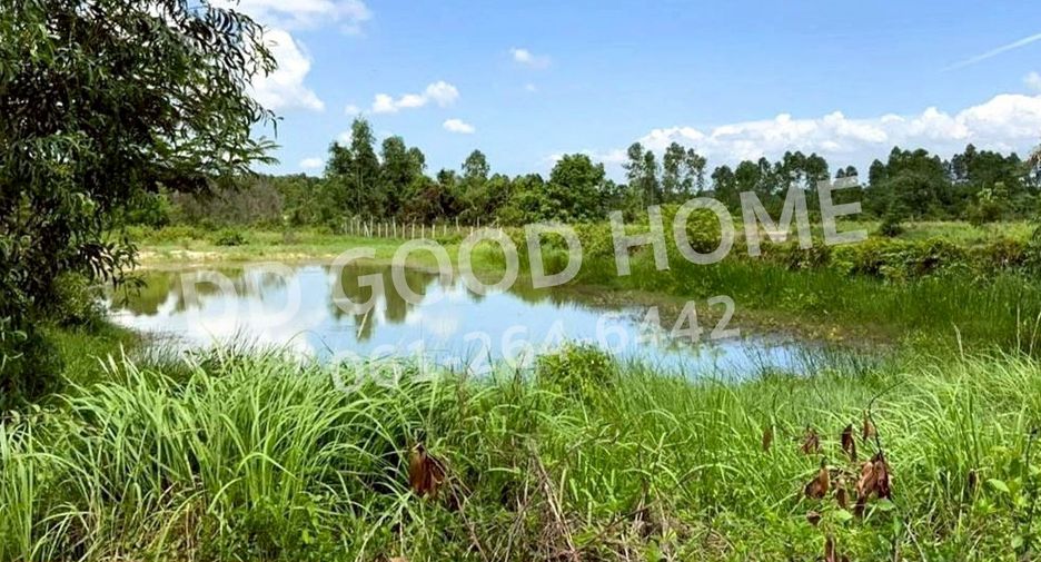 ขาย ที่ดิน ใน พนมสารคาม, ฉะเชิงเทรา