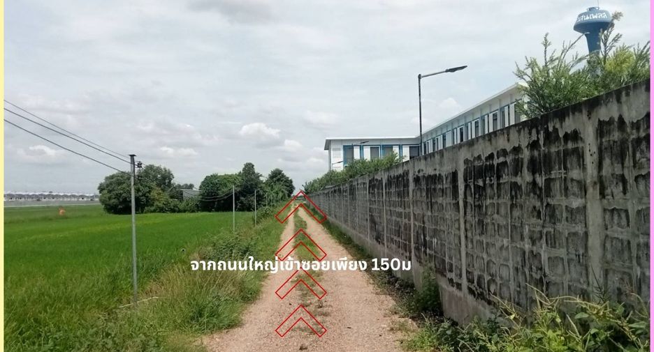 For sale land in Lam Luk Ka, Pathum Thani