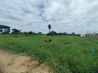 Terreno en venta en Mueang Nakhon Pathom, Nakhon Pathom