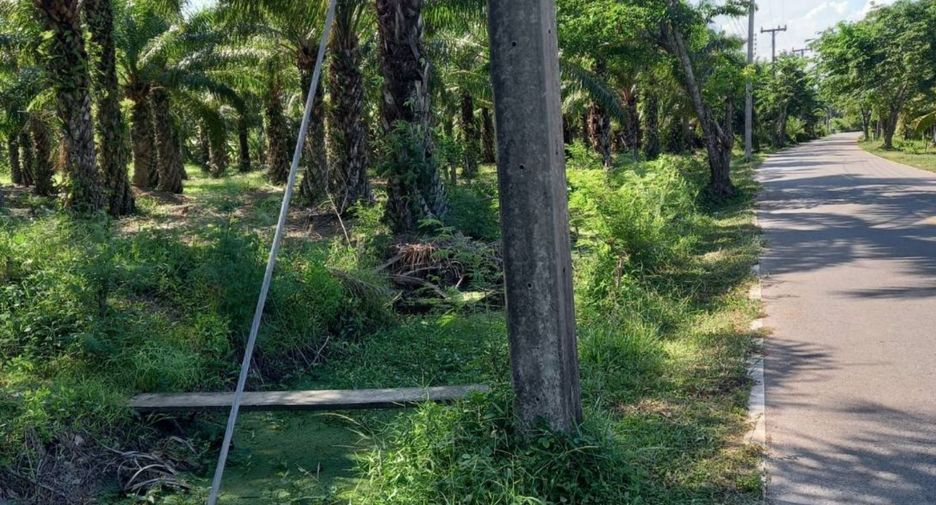 For sale land in Mueang Chumphon, Chumphon