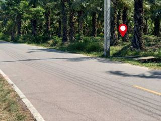 For sale land in Mueang Chumphon, Chumphon