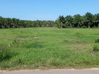 For sale land in Mueang Chumphon, Chumphon