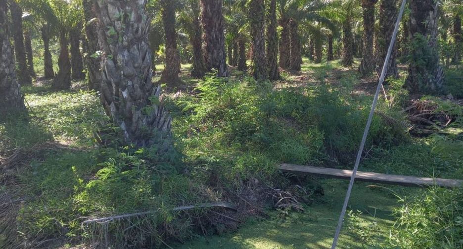 For sale land in Mueang Chumphon, Chumphon