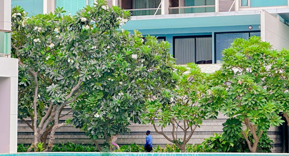 Wohnung zur Miete und zum Kauf mit 3 Zimmer in Bang Lamung, Chonburi