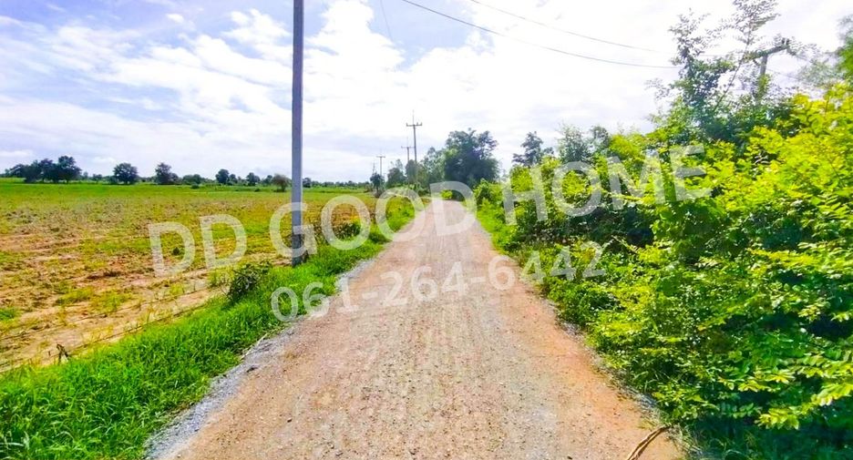 For sale land in Nong Ya Sai, Suphan Buri