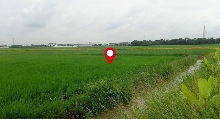 For sale land in Lam Luk Ka, Pathum Thani
