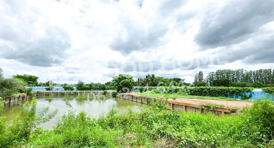 For sale land in Song Phi Nong, Suphan Buri