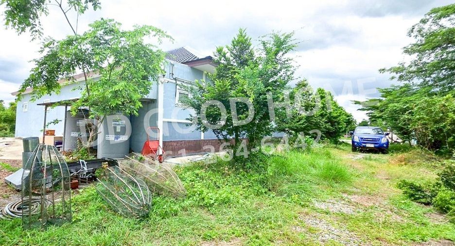 For sale land in Song Phi Nong, Suphan Buri