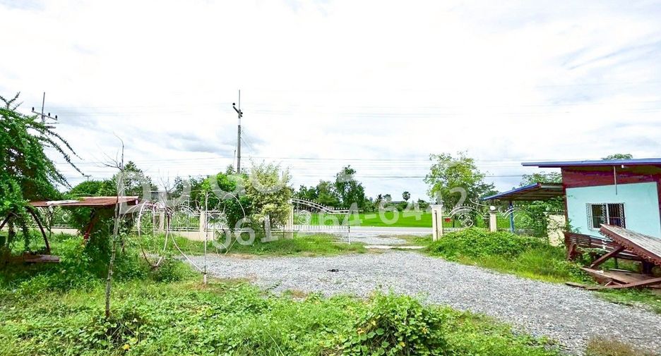 For sale land in Song Phi Nong, Suphan Buri
