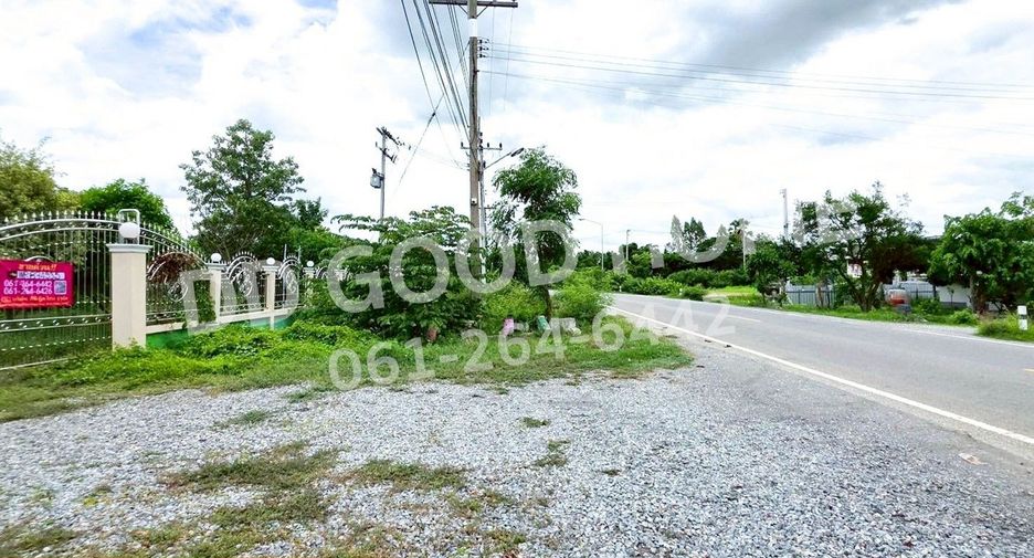 For sale land in Song Phi Nong, Suphan Buri