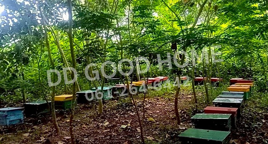 For sale land in Sam Ngao, Tak