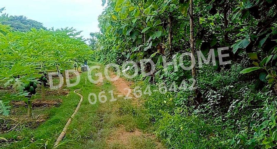 For sale land in Sam Ngao, Tak
